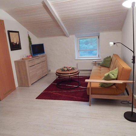 Ferienwohnung Schwemmer Pirna Bagian luar foto
