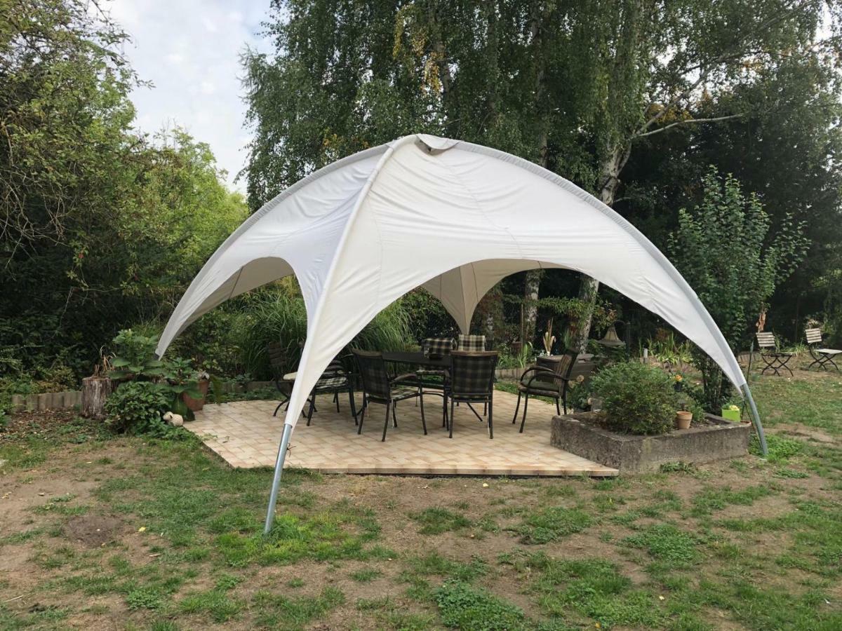 Ferienwohnung Schwemmer Pirna Bagian luar foto