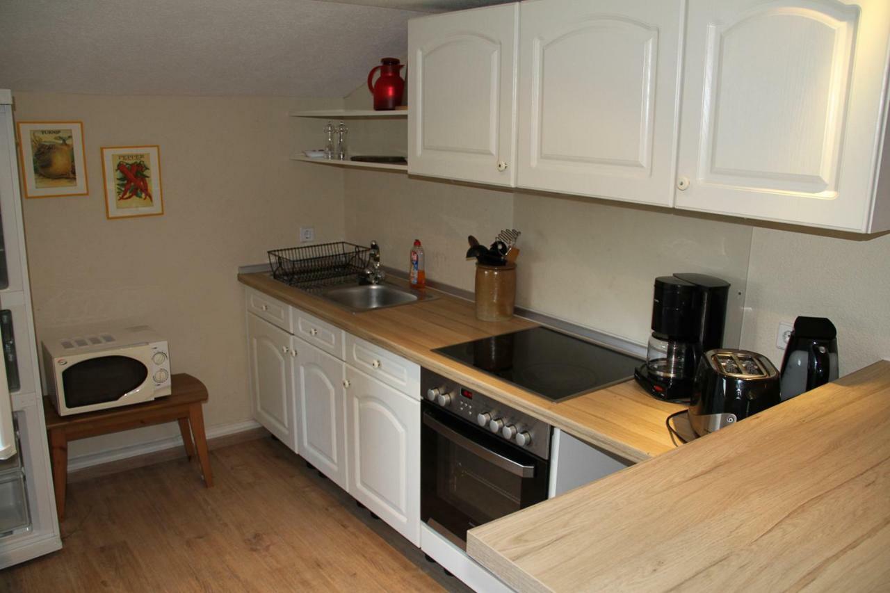 Ferienwohnung Schwemmer Pirna Bagian luar foto