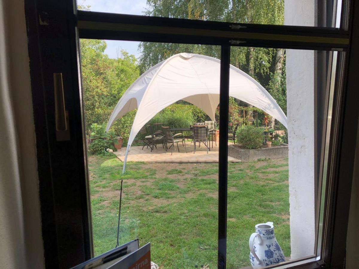 Ferienwohnung Schwemmer Pirna Bagian luar foto
