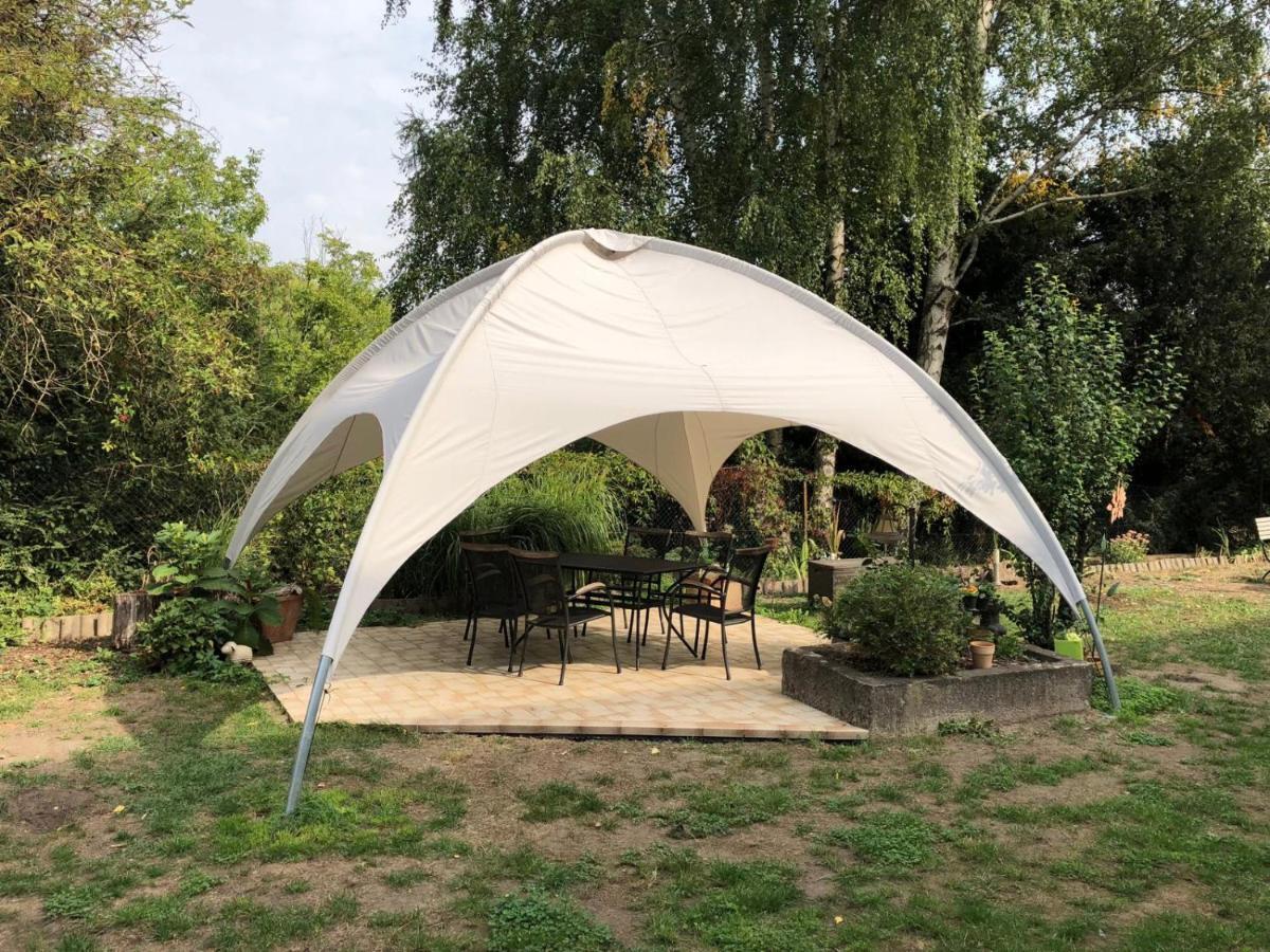Ferienwohnung Schwemmer Pirna Bagian luar foto